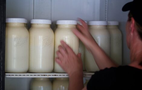 Find Safe Raw Milk Image